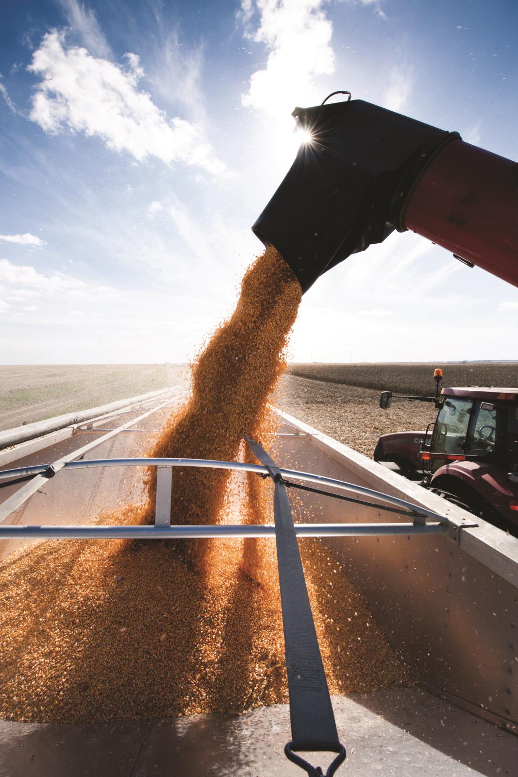 Another day, another WIN for FS InVISION® Seed Corn!