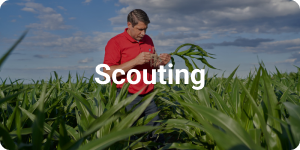 Ag-Fi-Scouting-Card