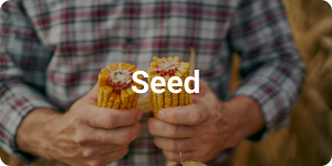 Ag-Fi-Seed-Card