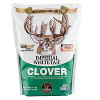 Clover